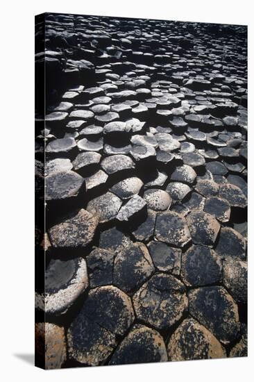 UK, Northern Ireland, County Antrim, Giant's Causeway, Prismatic Basalt Columns-null-Stretched Canvas