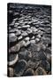 UK, Northern Ireland, County Antrim, Giant's Causeway, Prismatic Basalt Columns-null-Stretched Canvas