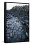 UK, Northern Ireland, County Antrim, Giant's Causeway, Prismatic Basalt Columns-null-Framed Stretched Canvas