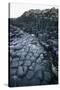 UK, Northern Ireland, County Antrim, Giant's Causeway, Prismatic Basalt Columns-null-Stretched Canvas