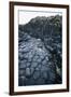 UK, Northern Ireland, County Antrim, Giant's Causeway, Prismatic Basalt Columns-null-Framed Giclee Print