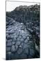 UK, Northern Ireland, County Antrim, Giant's Causeway, Prismatic Basalt Columns-null-Mounted Giclee Print