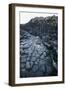 UK, Northern Ireland, County Antrim, Giant's Causeway, Prismatic Basalt Columns-null-Framed Giclee Print