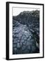 UK, Northern Ireland, County Antrim, Giant's Causeway, Prismatic Basalt Columns-null-Framed Giclee Print