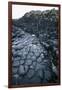 UK, Northern Ireland, County Antrim, Giant's Causeway, Prismatic Basalt Columns-null-Framed Giclee Print