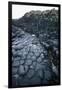 UK, Northern Ireland, County Antrim, Giant's Causeway, Prismatic Basalt Columns-null-Framed Giclee Print