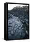 UK, Northern Ireland, County Antrim, Giant's Causeway, Prismatic Basalt Columns-null-Framed Stretched Canvas