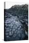 UK, Northern Ireland, County Antrim, Giant's Causeway, Prismatic Basalt Columns-null-Stretched Canvas