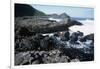 UK, Northern Ireland, County Antrim, Giant's Causeway, Prismatic Basalt Columns-null-Framed Giclee Print