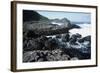 UK, Northern Ireland, County Antrim, Giant's Causeway, Prismatic Basalt Columns-null-Framed Giclee Print