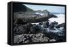 UK, Northern Ireland, County Antrim, Giant's Causeway, Prismatic Basalt Columns-null-Framed Stretched Canvas