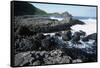 UK, Northern Ireland, County Antrim, Giant's Causeway, Prismatic Basalt Columns-null-Framed Stretched Canvas