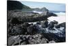 UK, Northern Ireland, County Antrim, Giant's Causeway, Prismatic Basalt Columns-null-Stretched Canvas