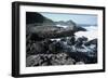 UK, Northern Ireland, County Antrim, Giant's Causeway, Prismatic Basalt Columns-null-Framed Giclee Print