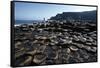 UK, Northern Ireland, County Antrim, Giant's Causeway, Prismatic Basalt Columns-null-Framed Stretched Canvas