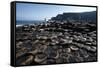 UK, Northern Ireland, County Antrim, Giant's Causeway, Prismatic Basalt Columns-null-Framed Stretched Canvas