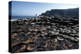 UK, Northern Ireland, County Antrim, Giant's Causeway, Prismatic Basalt Columns-null-Stretched Canvas