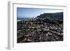 UK, Northern Ireland, County Antrim, Giant's Causeway, Prismatic Basalt Columns-null-Framed Giclee Print