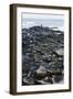 UK, Northern Ireland, County Antrim, Giant's Causeway, Prismatic Basalt Columns-null-Framed Giclee Print