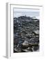 UK, Northern Ireland, County Antrim, Giant's Causeway, Prismatic Basalt Columns-null-Framed Giclee Print