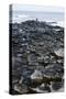 UK, Northern Ireland, County Antrim, Giant's Causeway, Prismatic Basalt Columns-null-Stretched Canvas