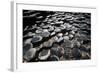 UK, Northern Ireland, County Antrim, Giant's Causeway, Prismatic Basalt Columns-null-Framed Giclee Print