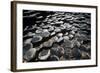 UK, Northern Ireland, County Antrim, Giant's Causeway, Prismatic Basalt Columns-null-Framed Giclee Print