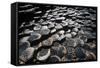 UK, Northern Ireland, County Antrim, Giant's Causeway, Prismatic Basalt Columns-null-Framed Stretched Canvas