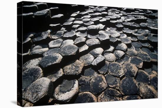 UK, Northern Ireland, County Antrim, Giant's Causeway, Prismatic Basalt Columns-null-Stretched Canvas