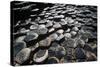 UK, Northern Ireland, County Antrim, Giant's Causeway, Prismatic Basalt Columns-null-Stretched Canvas