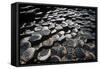 UK, Northern Ireland, County Antrim, Giant's Causeway, Prismatic Basalt Columns-null-Framed Stretched Canvas