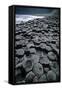 UK, Northern Ireland, County Antrim, Giant's Causeway, Prismatic Basalt Columns-null-Framed Stretched Canvas