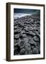 UK, Northern Ireland, County Antrim, Giant's Causeway, Prismatic Basalt Columns-null-Framed Giclee Print