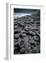 UK, Northern Ireland, County Antrim, Giant's Causeway, Prismatic Basalt Columns-null-Framed Giclee Print