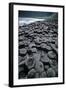 UK, Northern Ireland, County Antrim, Giant's Causeway, Prismatic Basalt Columns-null-Framed Giclee Print