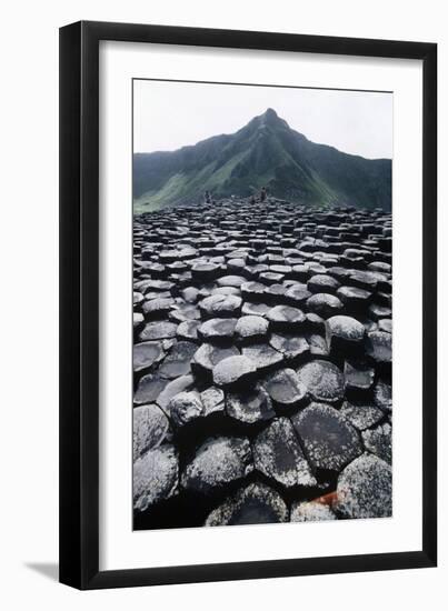 UK, Northern Ireland, County Antrim, Prismatic Basalt Columns of Giant's Causeway-null-Framed Giclee Print