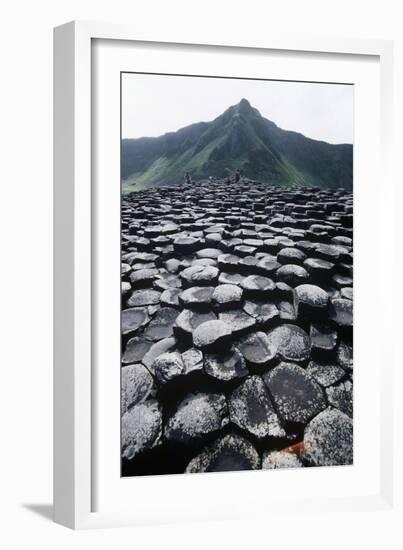 UK, Northern Ireland, County Antrim, Prismatic Basalt Columns of Giant's Causeway-null-Framed Giclee Print