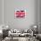 Uk Paint Flag-bioraven-Art Print displayed on a wall