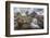 UK, Scotland, Highland, Glen Coe, River Coupall, Coupall Falls and Buachaille Etive Mor-Alan Copson-Framed Photographic Print