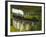 UK, Scotland, Highlands, Jacobite Steam Train crossing the Glenfinnan Viaduct.-Karol Kozlowski-Framed Photographic Print