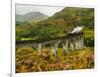 UK, Scotland, Highlands, Jacobite Steam Train crossing the Glenfinnan Viaduct.-Karol Kozlowski-Framed Photographic Print