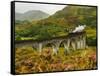 UK, Scotland, Highlands, Jacobite Steam Train crossing the Glenfinnan Viaduct.-Karol Kozlowski-Framed Stretched Canvas