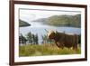 Uk, Scotland, Outer Hebrides-John Warburton-lee-Framed Photographic Print