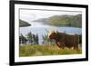 Uk, Scotland, Outer Hebrides-John Warburton-lee-Framed Photographic Print