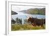 Uk, Scotland, Outer Hebrides-John Warburton-lee-Framed Photographic Print