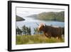 Uk, Scotland, Outer Hebrides-John Warburton-lee-Framed Photographic Print