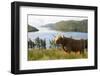 Uk, Scotland, Outer Hebrides-John Warburton-lee-Framed Photographic Print