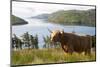 Uk, Scotland, Outer Hebrides-John Warburton-lee-Mounted Photographic Print