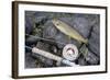 Uk, Scotland, Outer Hebrides-John Warburton-lee-Framed Photographic Print