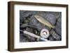 Uk, Scotland, Outer Hebrides-John Warburton-lee-Framed Photographic Print